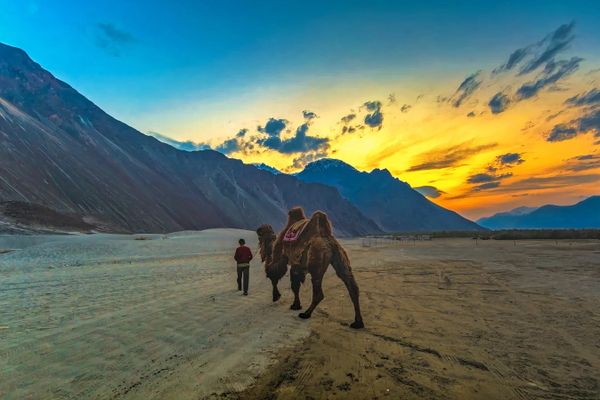 The Roof of the World: Jimit’s Family Trip to Ladakh with Thrillophilia